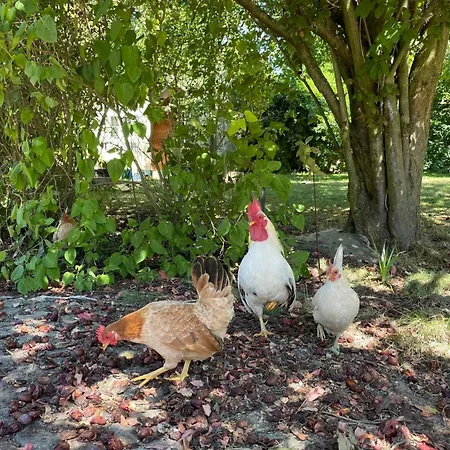 Gaertnerhaus By Interhome * Heyda