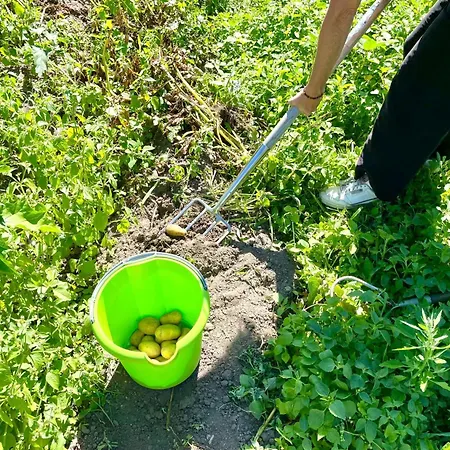 Gaertnerhaus By Interhome