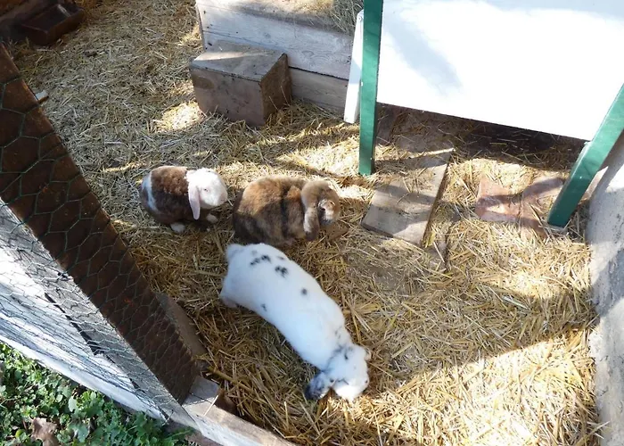 Gaertnerhaus By Interhome * Heyda