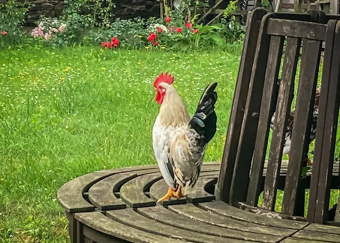 Gaertnerhaus By Interhome