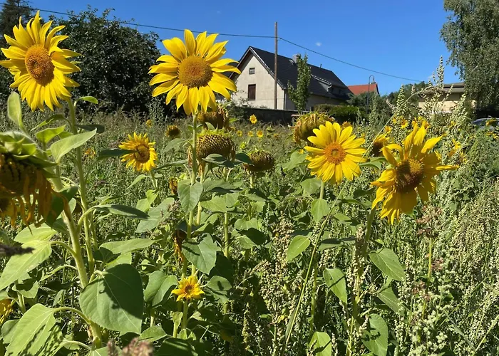 Gaertnerhaus By Interhome * Heyda