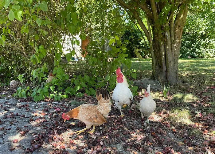 Gaertnerhaus By Interhome * Heyda