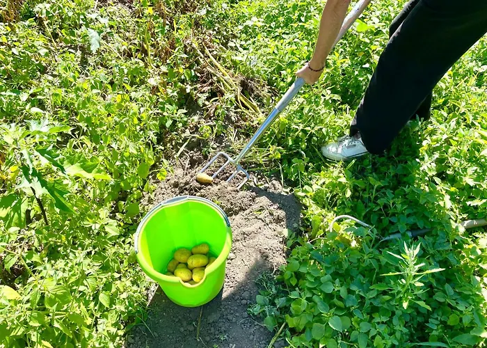 Gaertnerhaus By Interhome